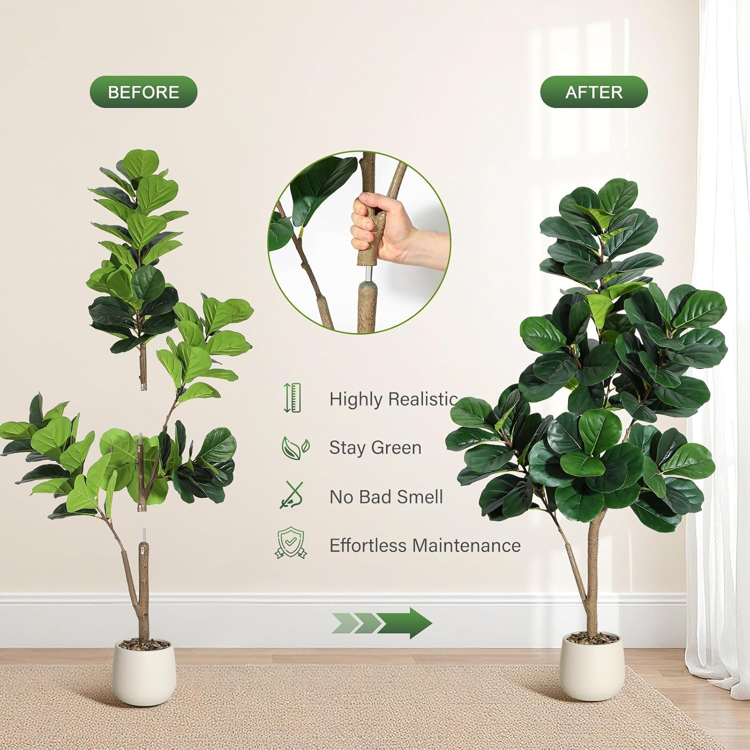 4-7 FT Fiddle Leaf Fig Tree Ar - Ficus Lyrata Tree reseña y precio
