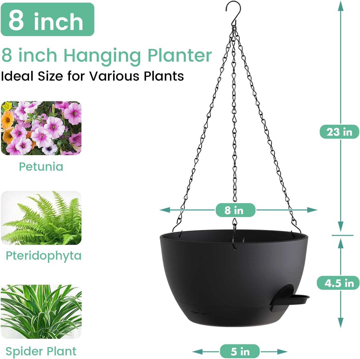8 Inch Self Watering Hanging P - Spider Plant Hanging reseña y precio