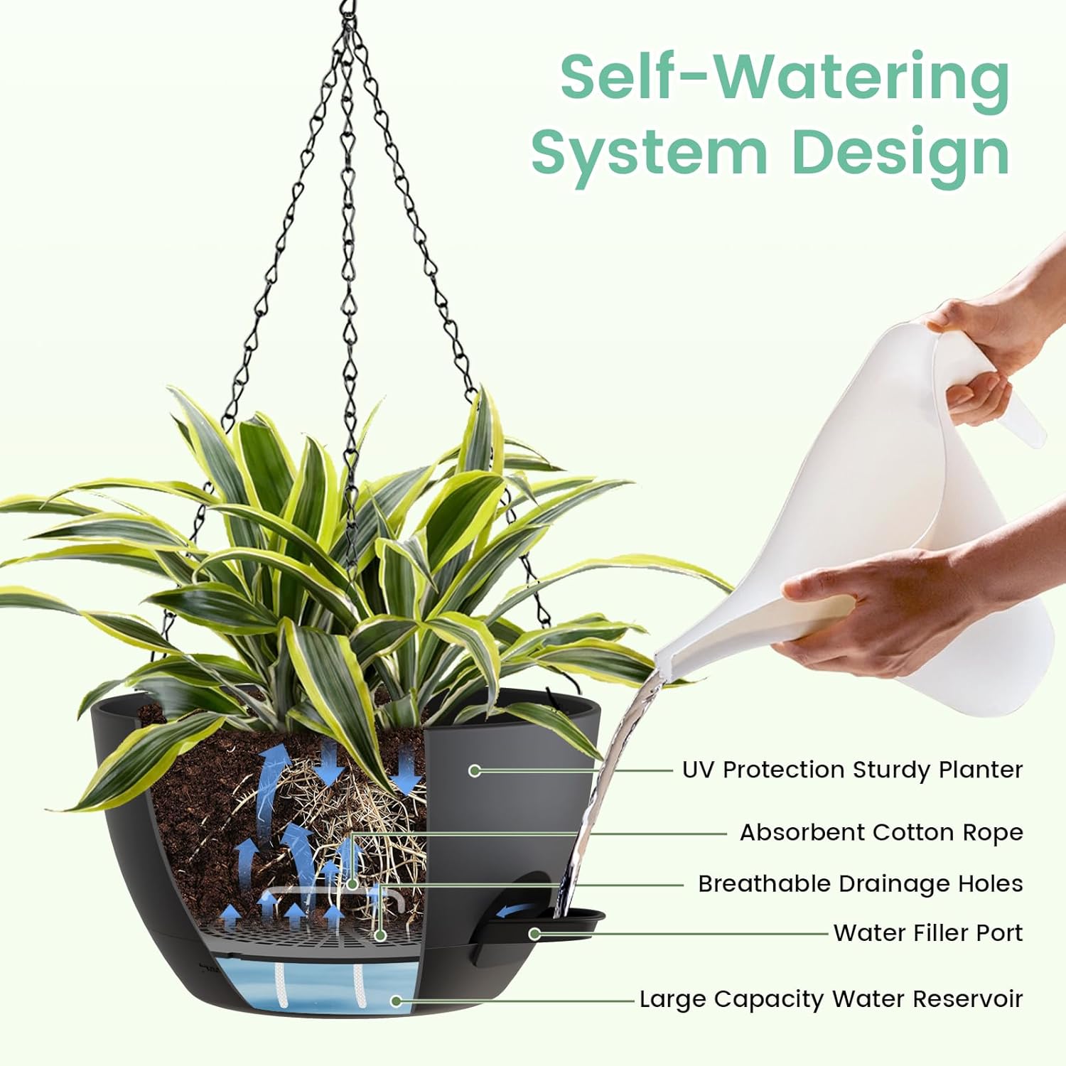 8 Inch Self Watering Hanging P - Spider Plant Hanging reseña y precio