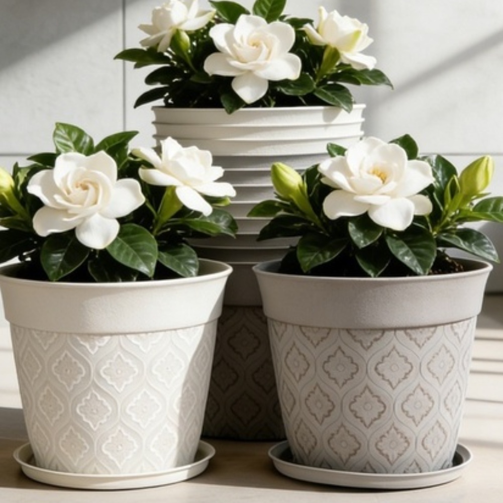 8in Flower Pot With Drainage H - Echeveria Succulent reseña y precio