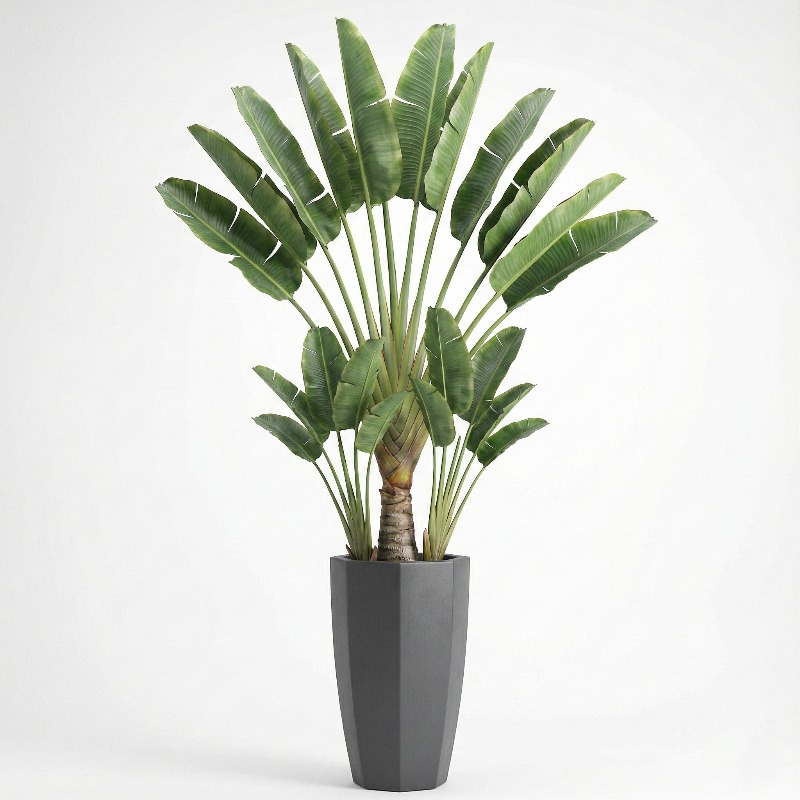 High-Simulation Plastic Fiddle - Ficus Lyrata Tree reseña y precio