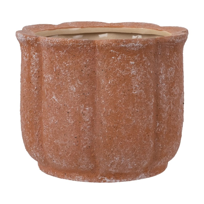 8in Terracotta Flower Planter  - Aloe Vera Pot reseña y precio