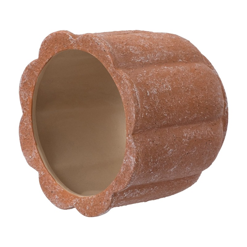 8in Terracotta Flower Planter  - Aloe Vera Pot reseña y precio