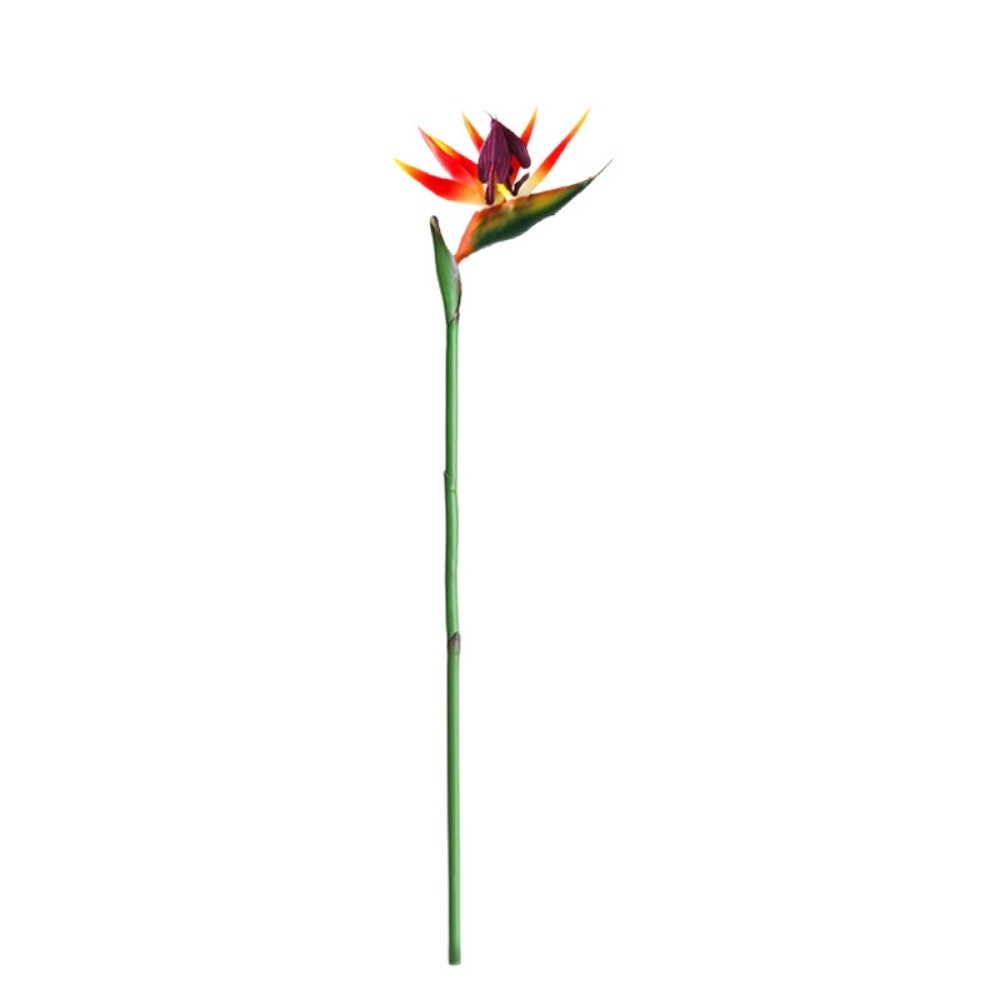 Long Stem Artificial Bird of P - Bird Paradise Strelitzia reseña y precio