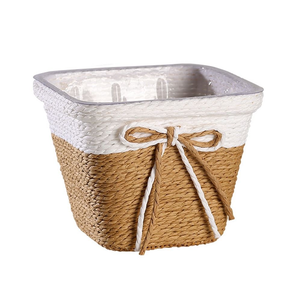 Paper Rope Braided Braided Flo - Aloe Vera Pot reseña y precio