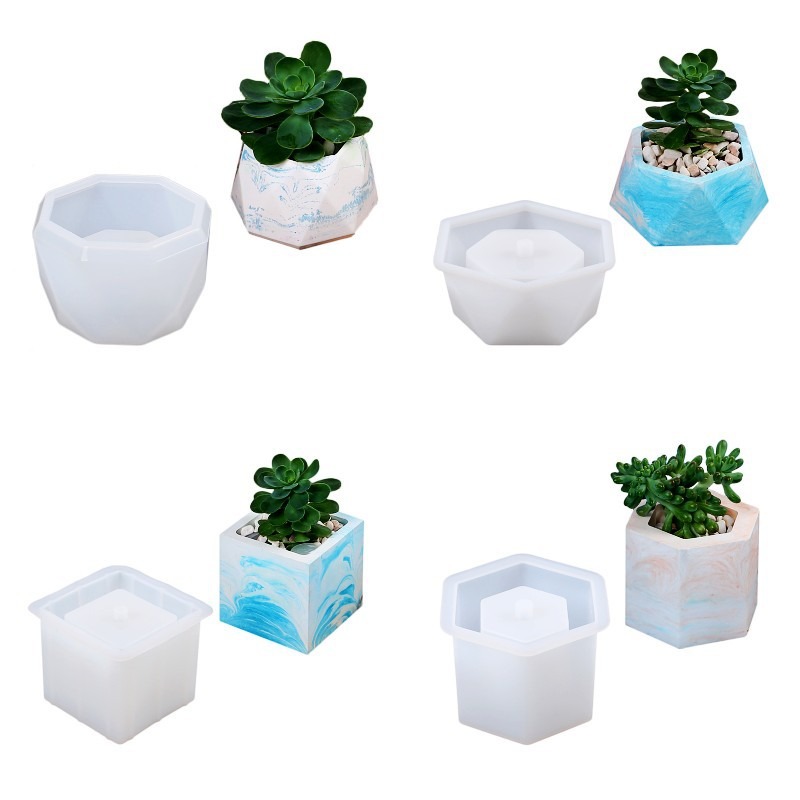 Succulent Flowerpot Silicone M - Echeveria Succulent reseña y precio