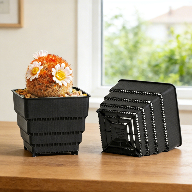 MESHPOT 6-Pack Square Pots for - Echeveria Succulent reseña y precio