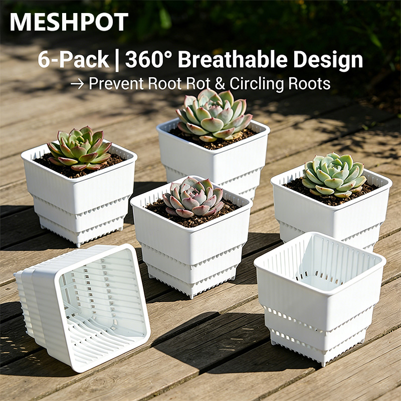 MESHPOT 6-Pack Square Pots for - Echeveria Succulent reseña y precio