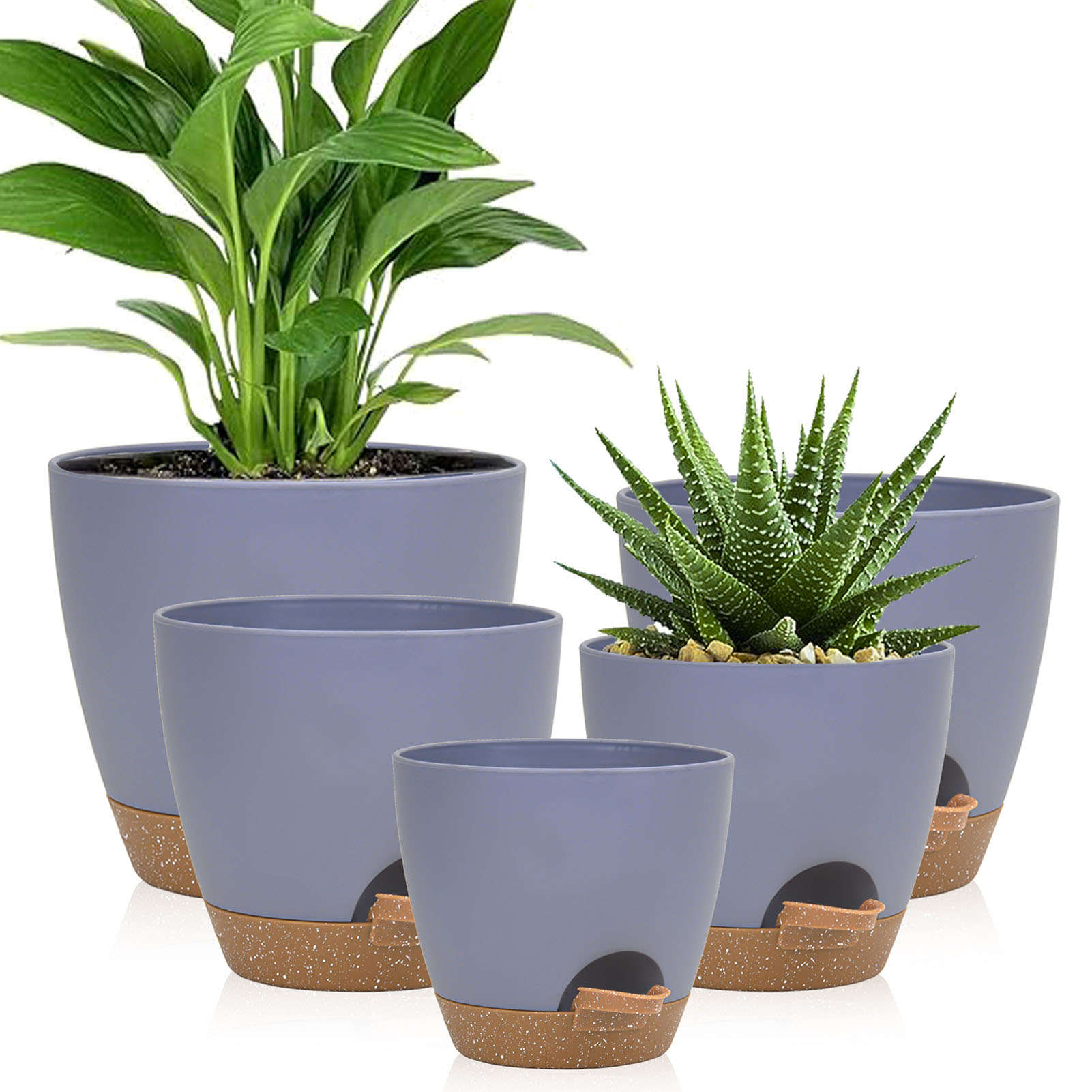 5piece Indoor Flower Pots With - Aloe Vera Pot reseña y precio