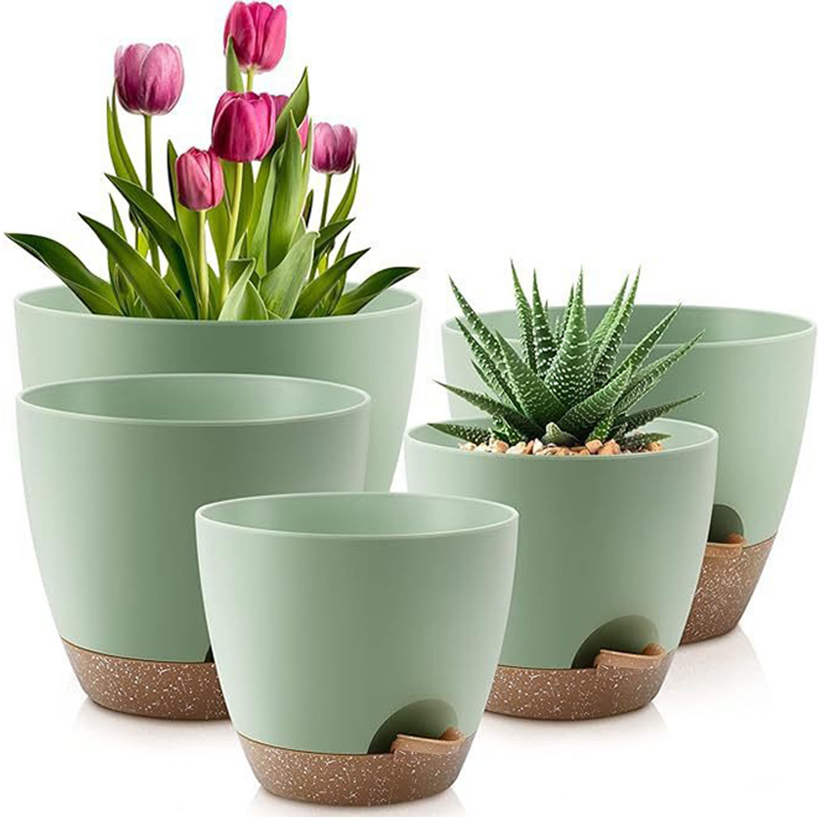 5piece Indoor Flower Pots With - Aloe Vera Pot reseña y precio