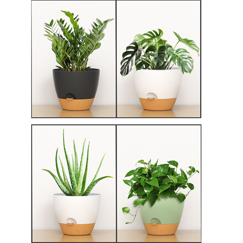 5piece Indoor Flower Pots With - Aloe Vera Pot reseña y precio