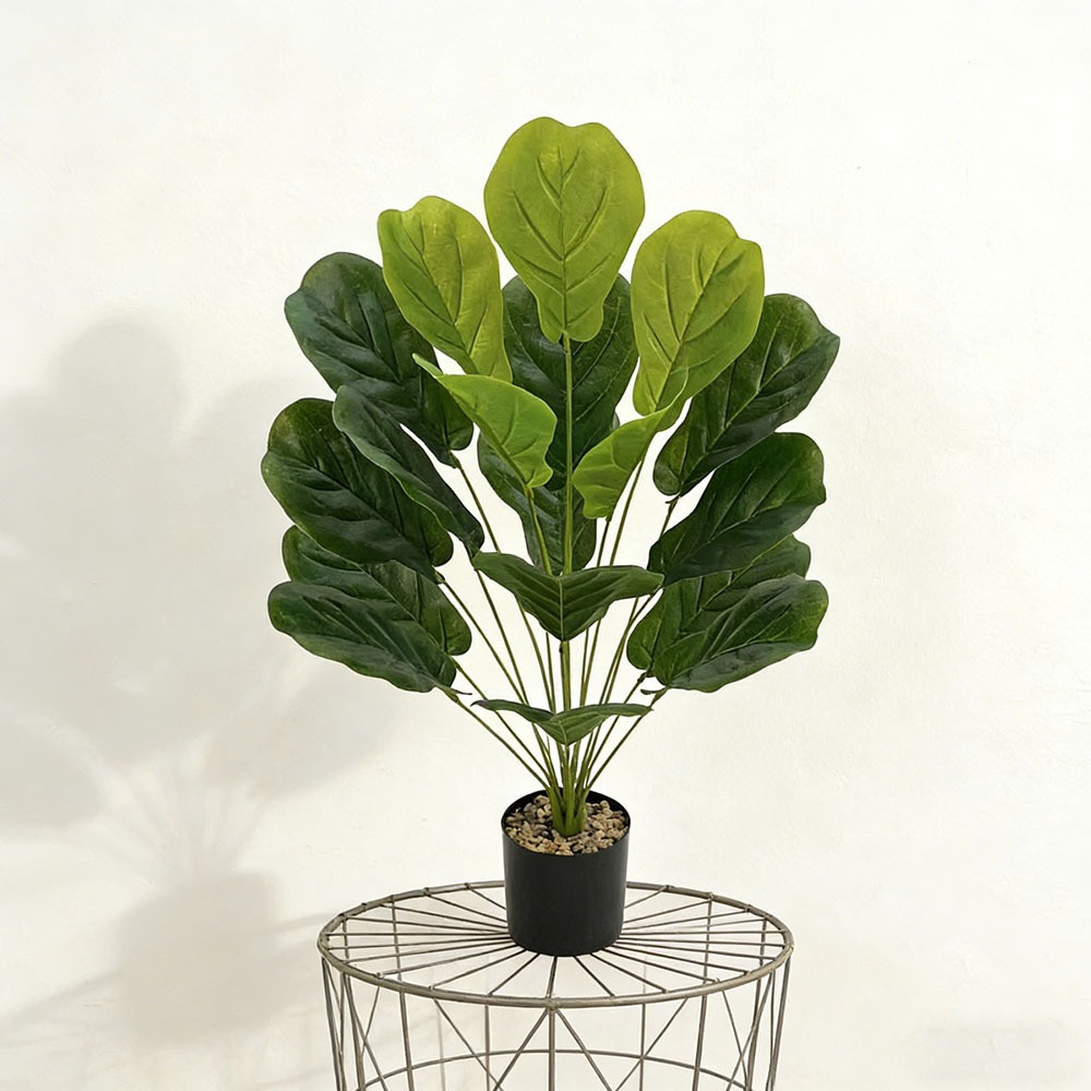 1pc of 75cm Artificial Ficus L - Ficus Lyrata Tree reseña y precio