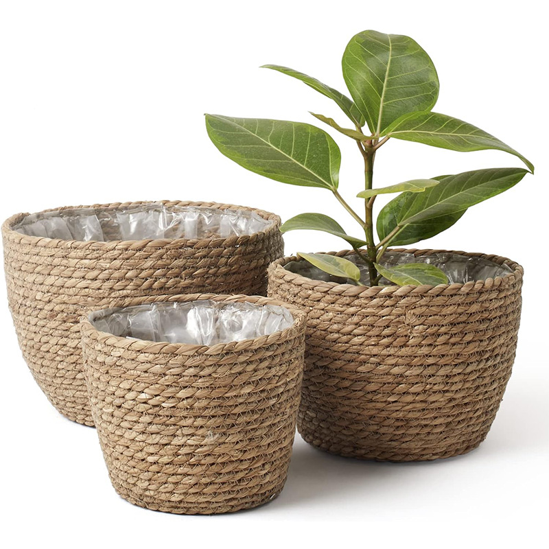 Natural Woven Flower Basket St - Aloe Vera Pot reseña y precio