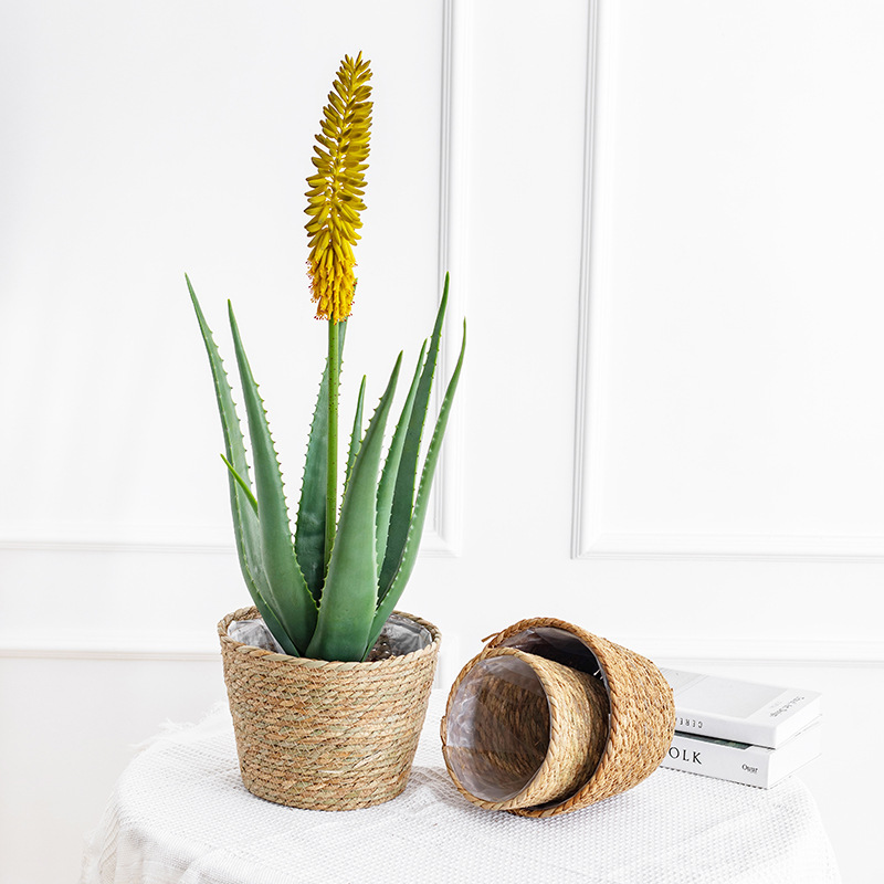 Natural Woven Flower Basket St - Aloe Vera Pot reseña y precio