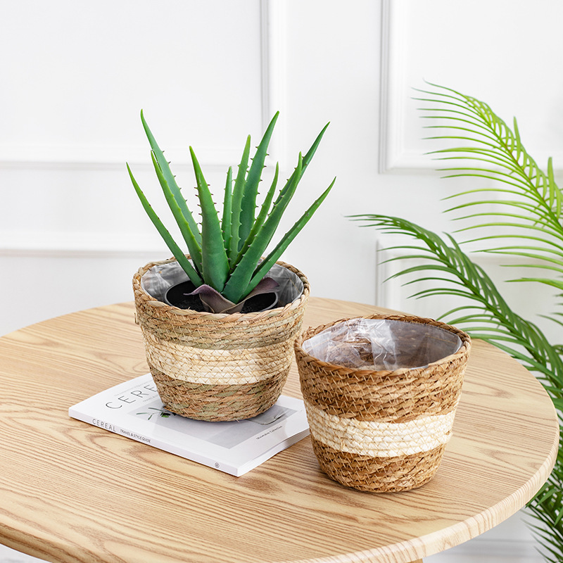 Natural Woven Flower Basket St - Aloe Vera Pot reseña y precio