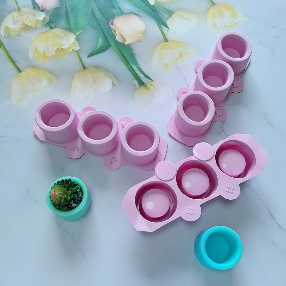 Silicone Mold for Succulent Pl - Echeveria Succulent reseña y precio