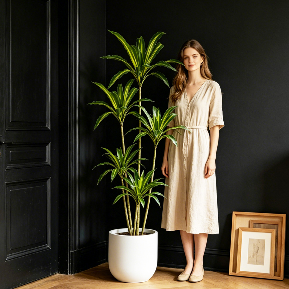 80-165cm Large Artifcial Draca - Dracaena Marginata reseña y precio