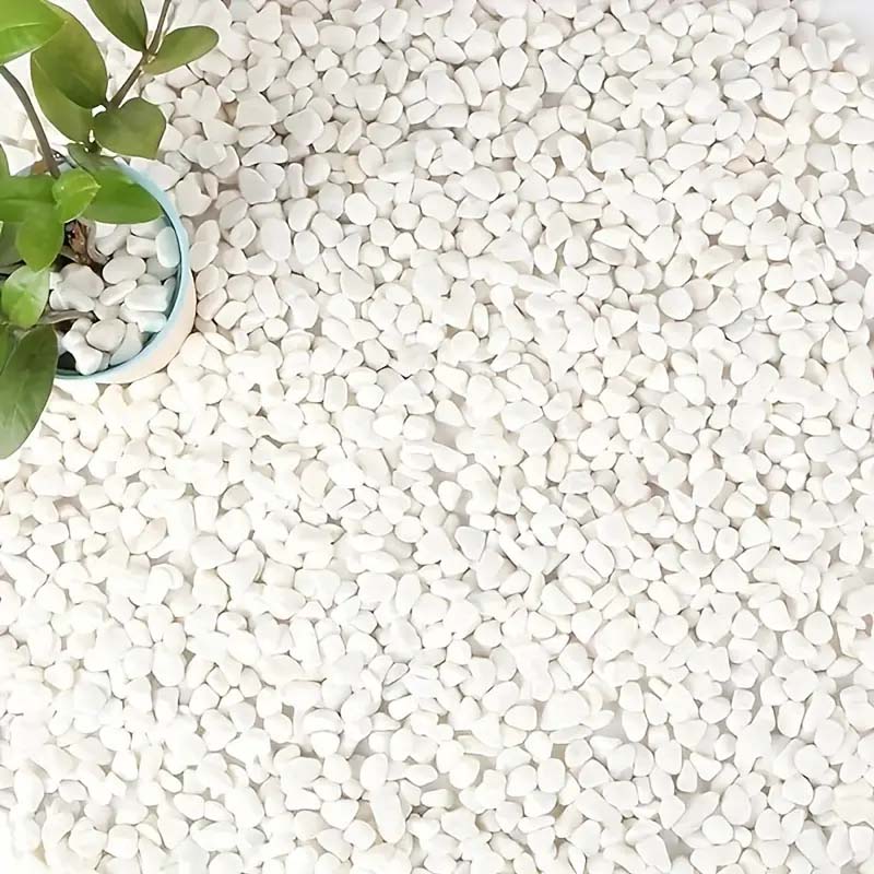 White Pebbles Decorative Stone - Echeveria Succulent reseña y precio