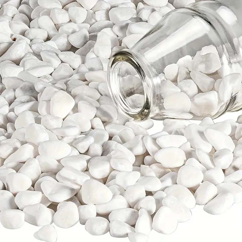 White Pebbles Decorative Stone - Echeveria Succulent reseña y precio