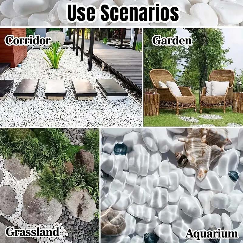 White Pebbles Decorative Stone - Echeveria Succulent reseña y precio