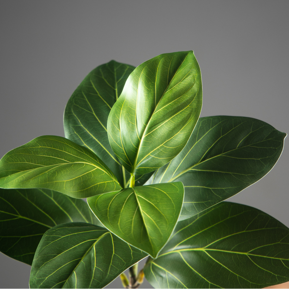 70-130cm Large Artificial Bany - Ficus Lyrata Tree reseña y precio