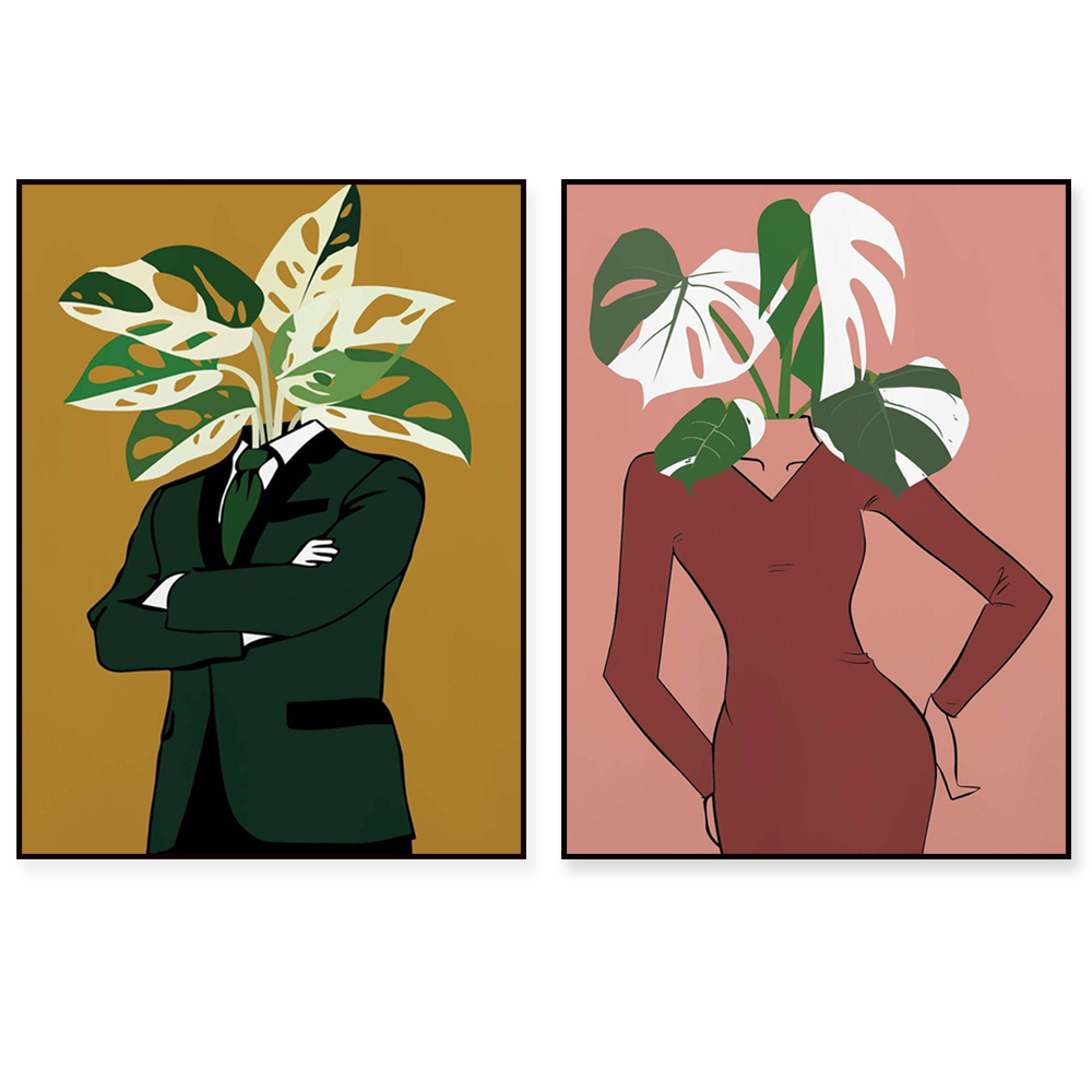 Monstera Albo in a burgundy dr - Monstera Adansonii reseña y precio