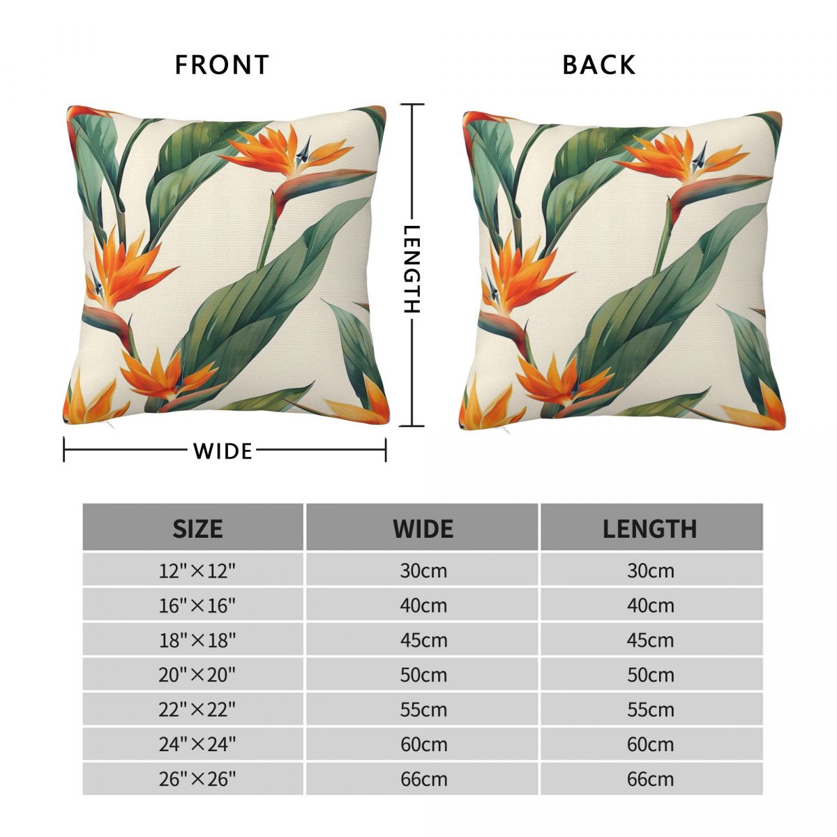 Bird Of Paradise Strelitzia Sq - Bird Paradise Strelitzia reseña y precio