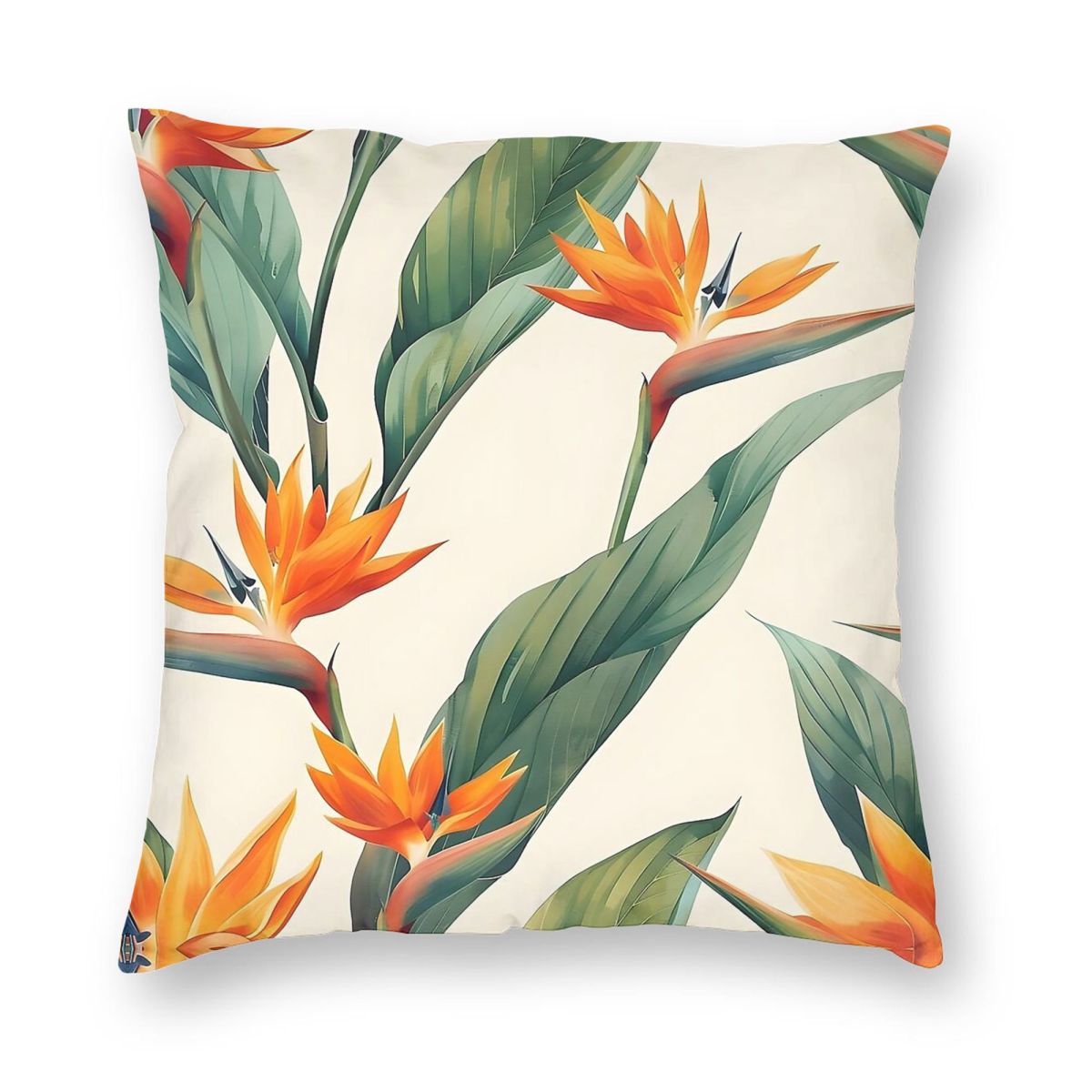 Bird Of Paradise Strelitzia Sq - Bird Paradise Strelitzia reseña y precio