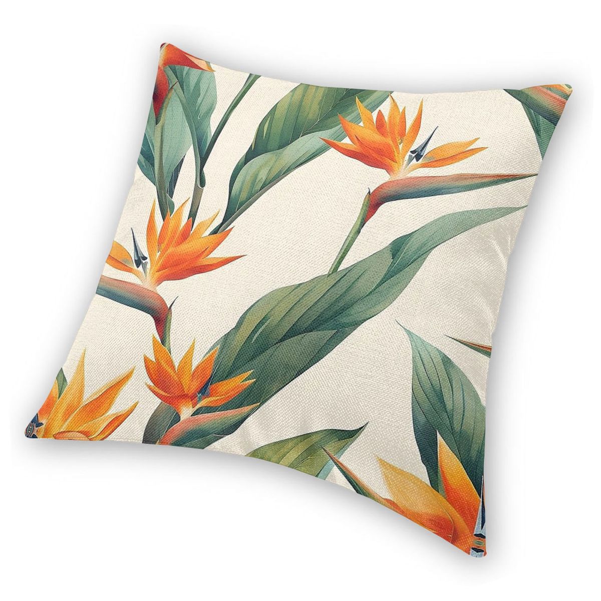Bird Of Paradise Strelitzia Sq - Bird Paradise Strelitzia reseña y precio