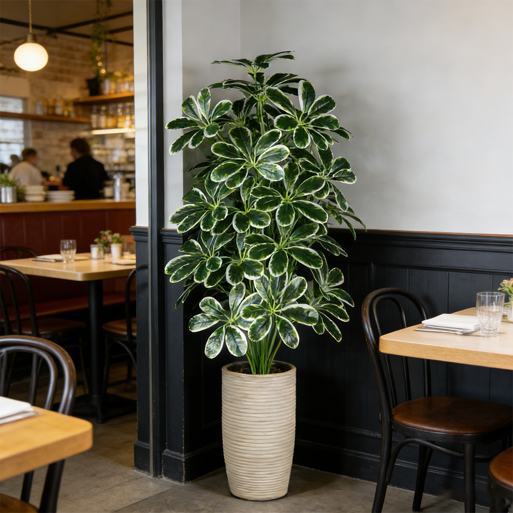 50-75cm Artifficial Maranta Pl - Dracaena Marginata reseña y precio