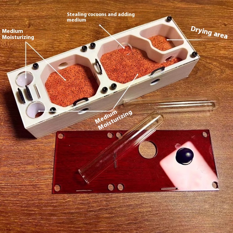 Ant Farm mini CC with External - Begonia Rex reseña y precio