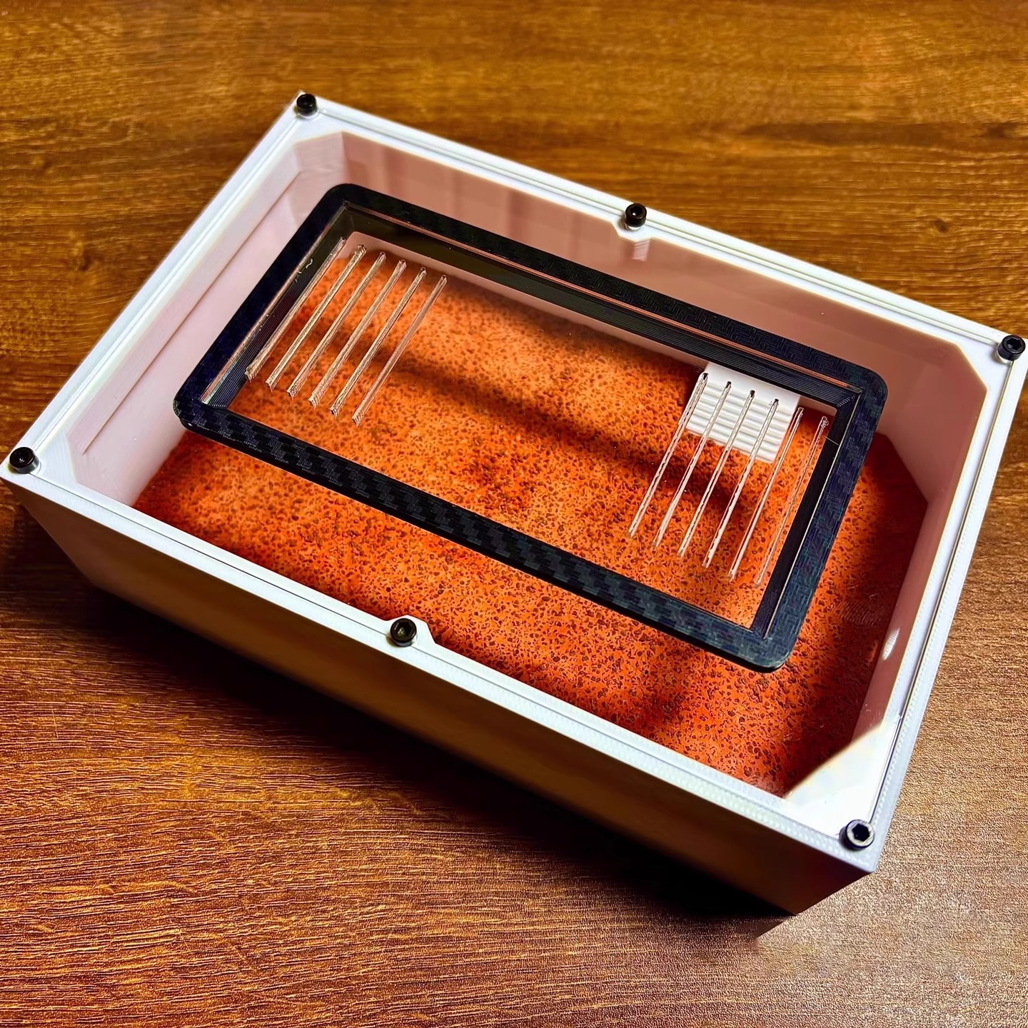 Ant Farm mini CC with External - Begonia Rex reseña y precio