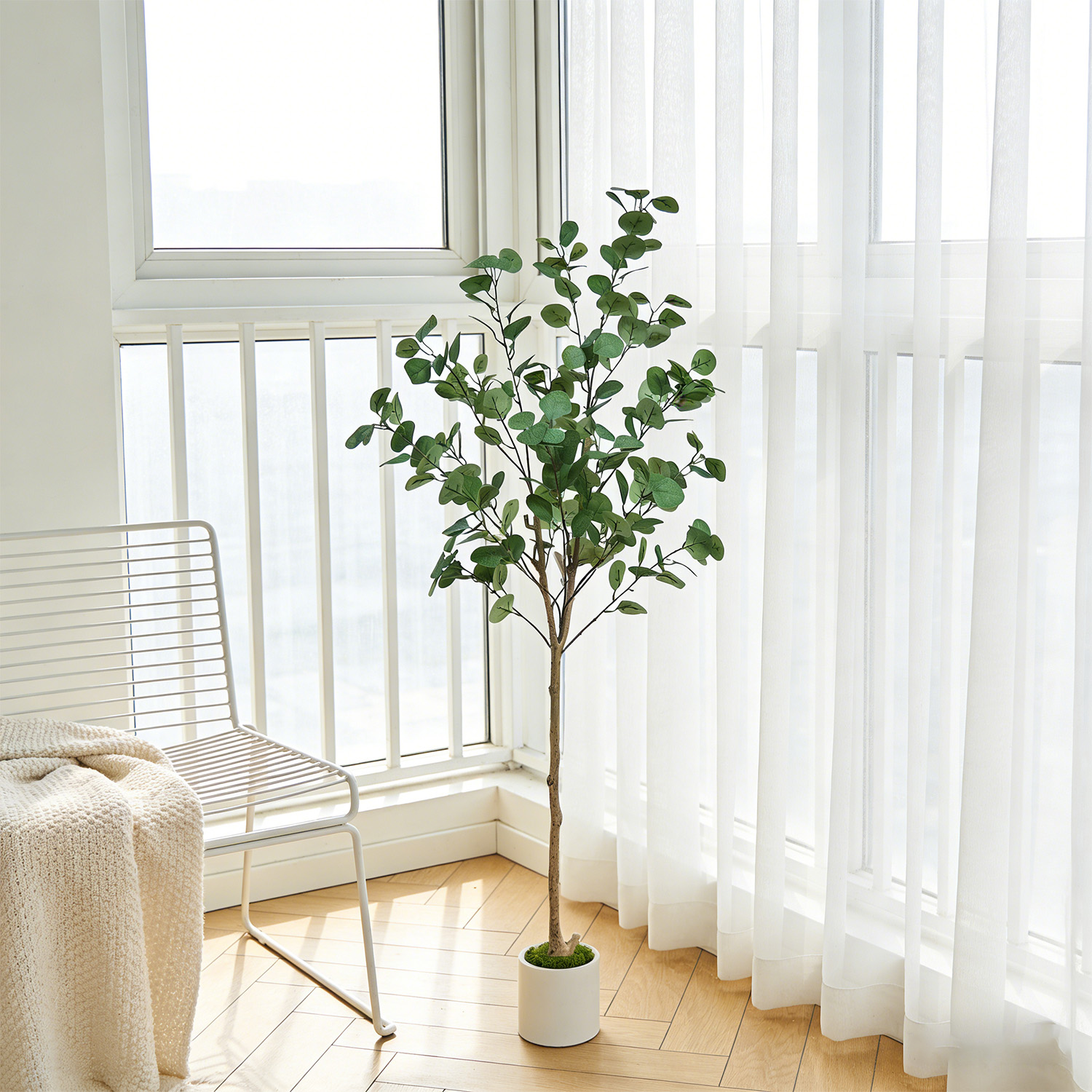 120-155Cm/5.1Ft Artificial Euc - Dracaena Marginata reseña y precio