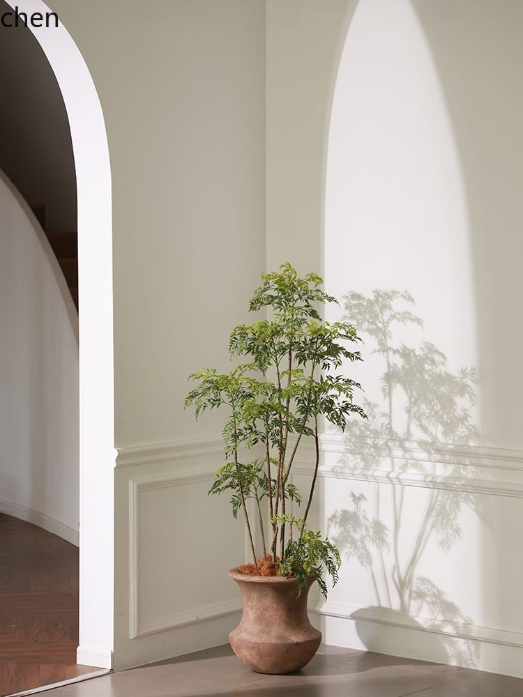 LYY  Floor Vase Green Plant Ar - Ficus Lyrata Tree reseña y precio