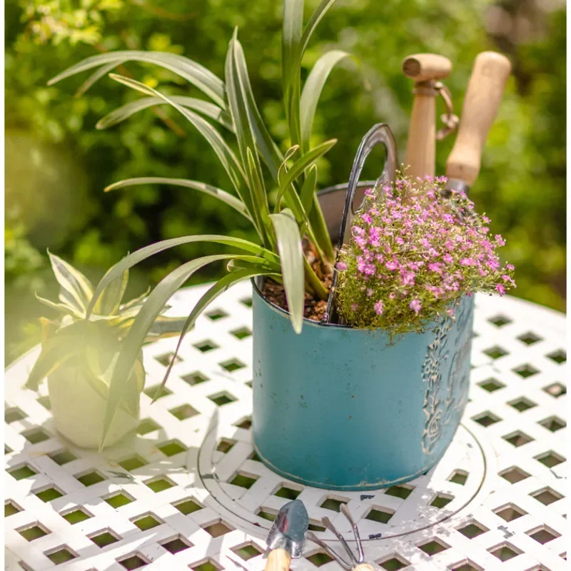 Blue Hanging Wall Planter Aged - Spider Plant Hanging reseña y precio
