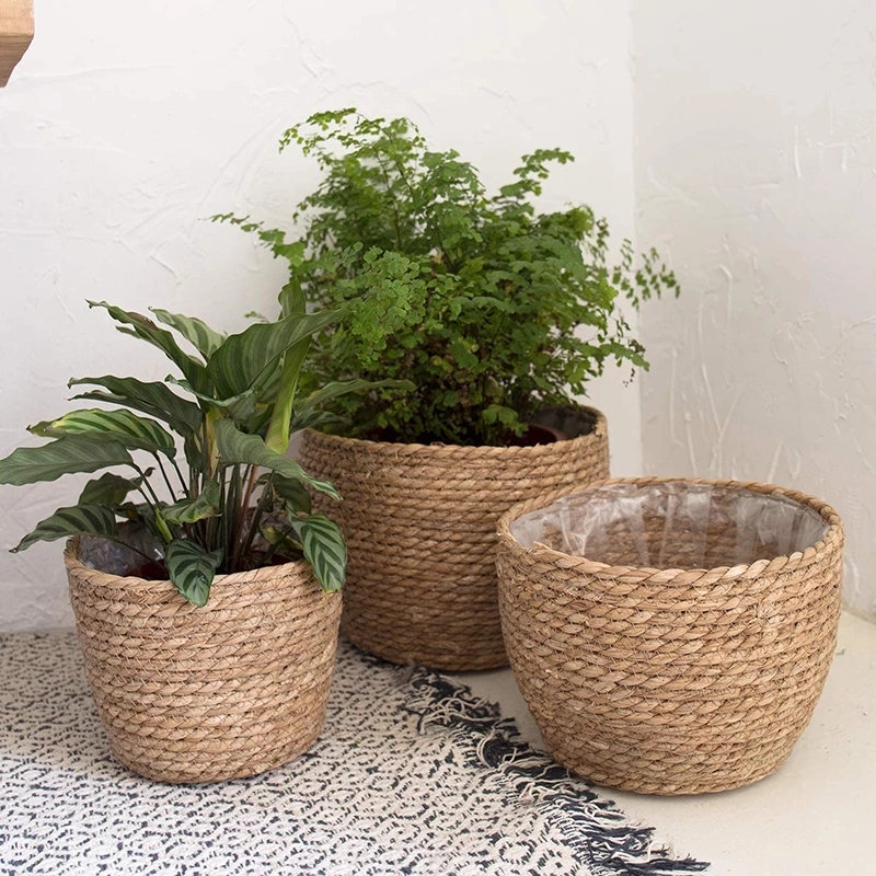 Straw Weaving Flower Plant Pot - Aloe Vera Pot reseña y precio