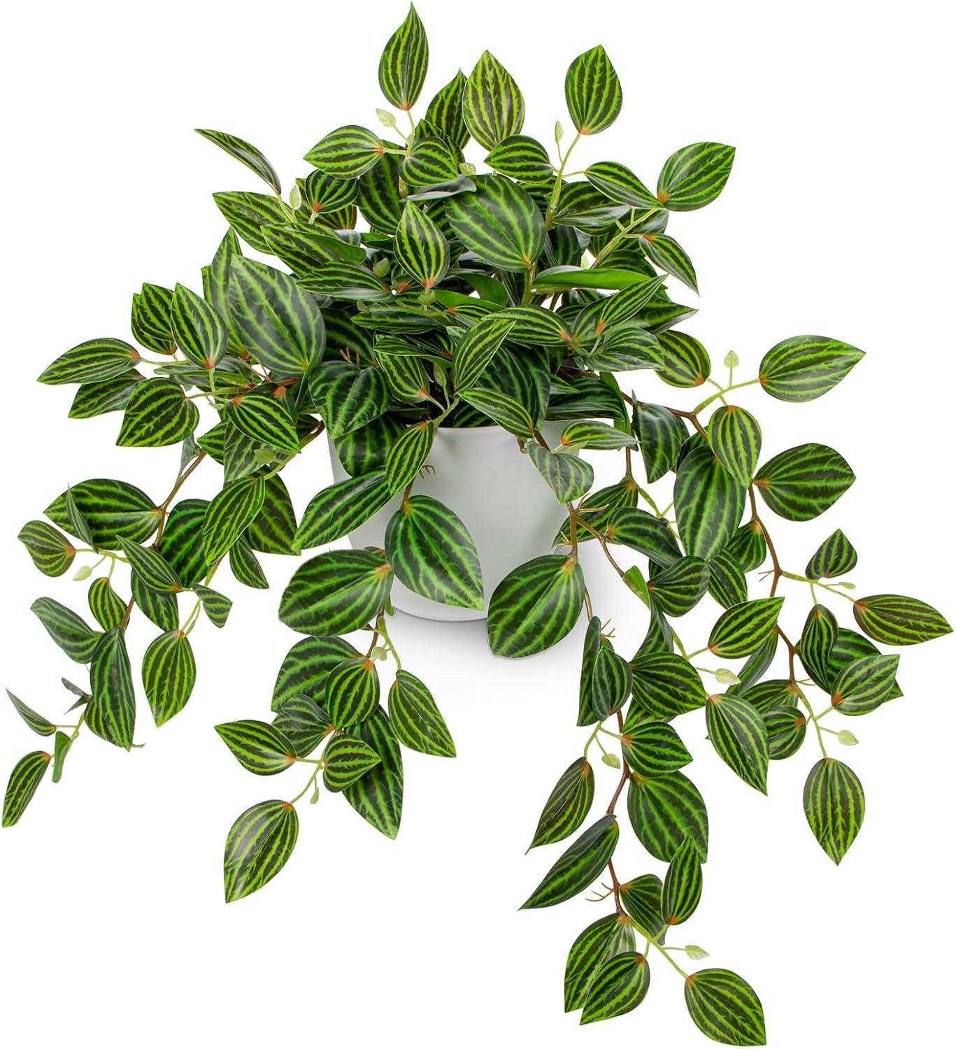 Artificial Plants Indoor Fake  - Peperomia Watermelon reseña y precio
