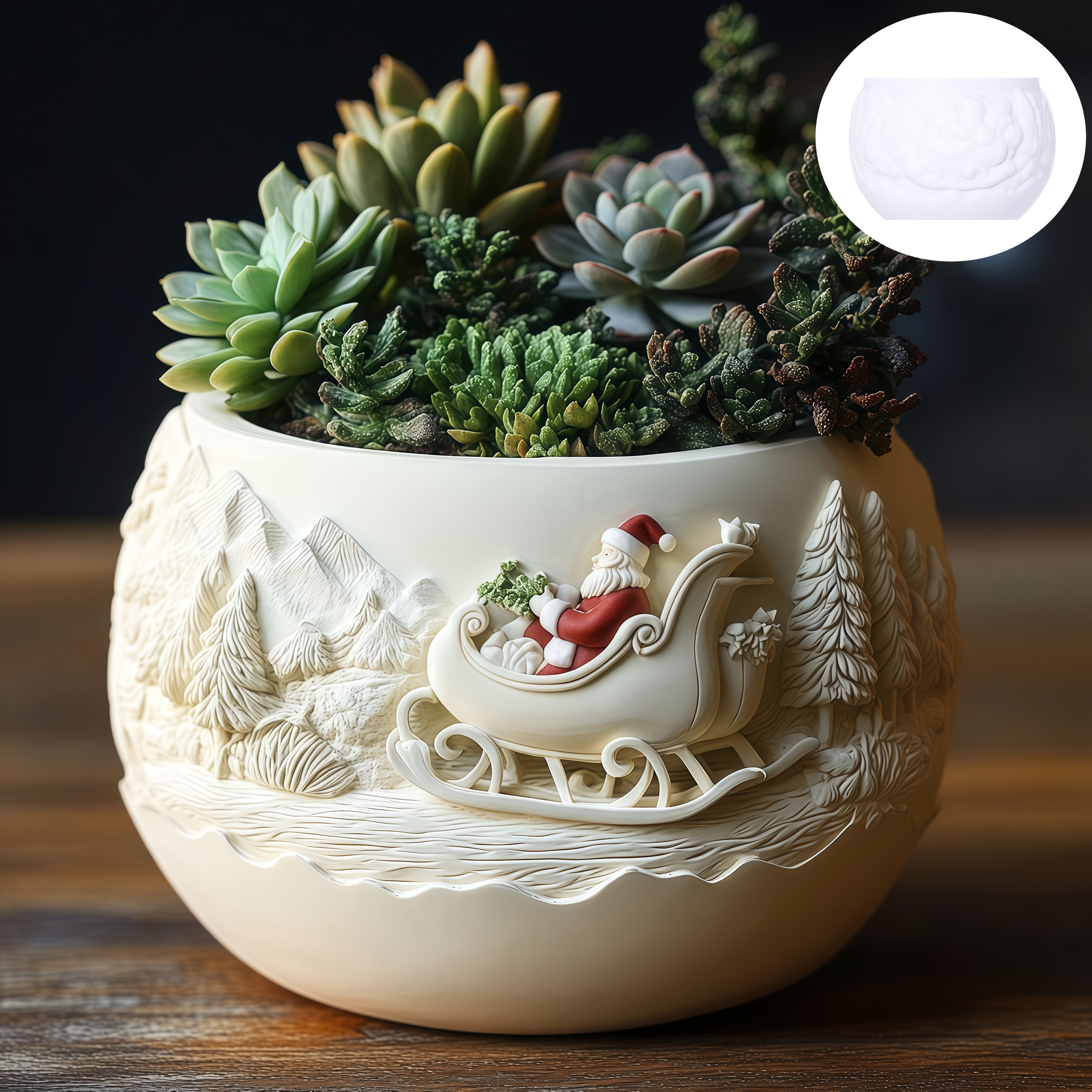 Cedar Sled Santa Claus Relief  - Echeveria Succulent reseña y precio