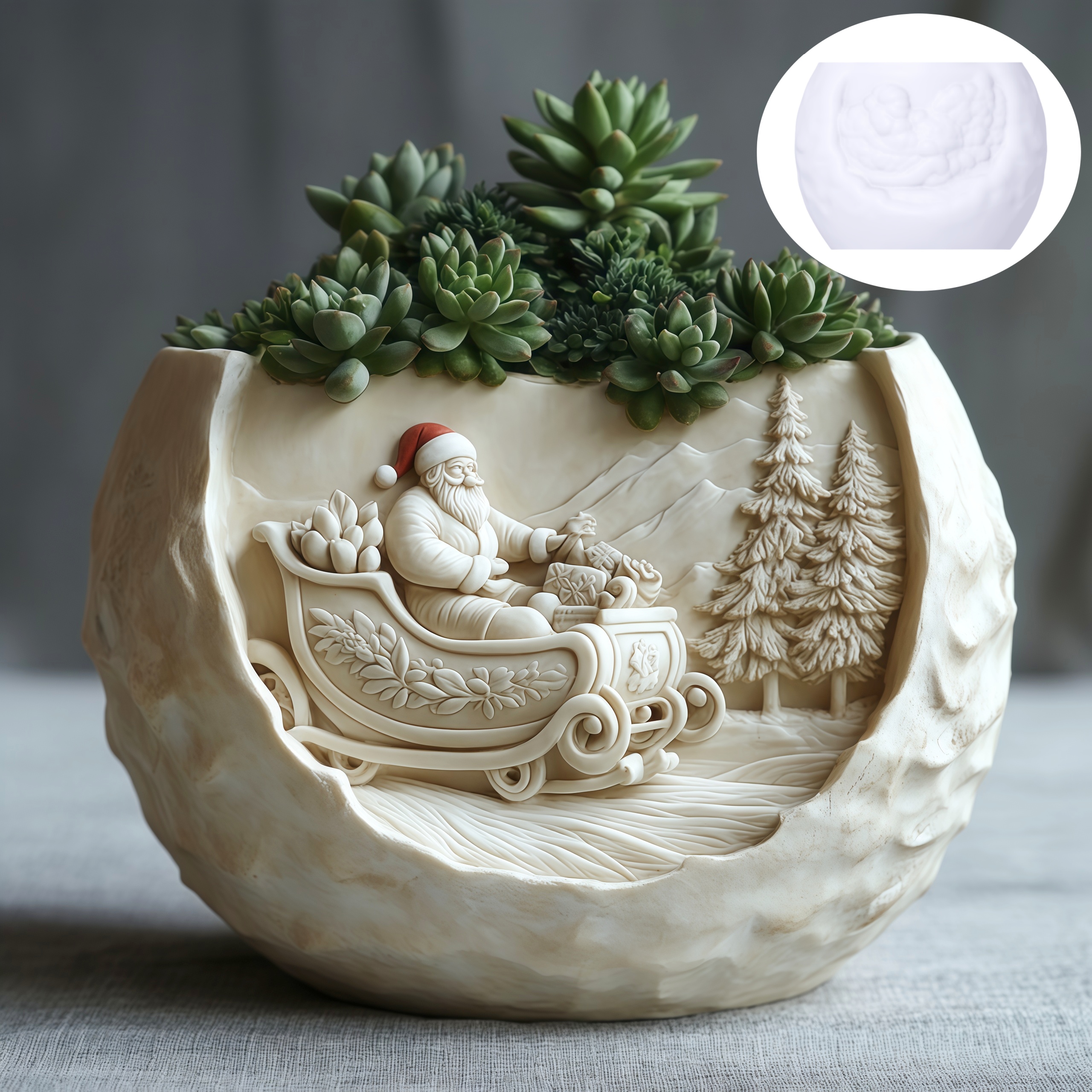 Cedar Sled Santa Claus Relief  - Echeveria Succulent reseña y precio