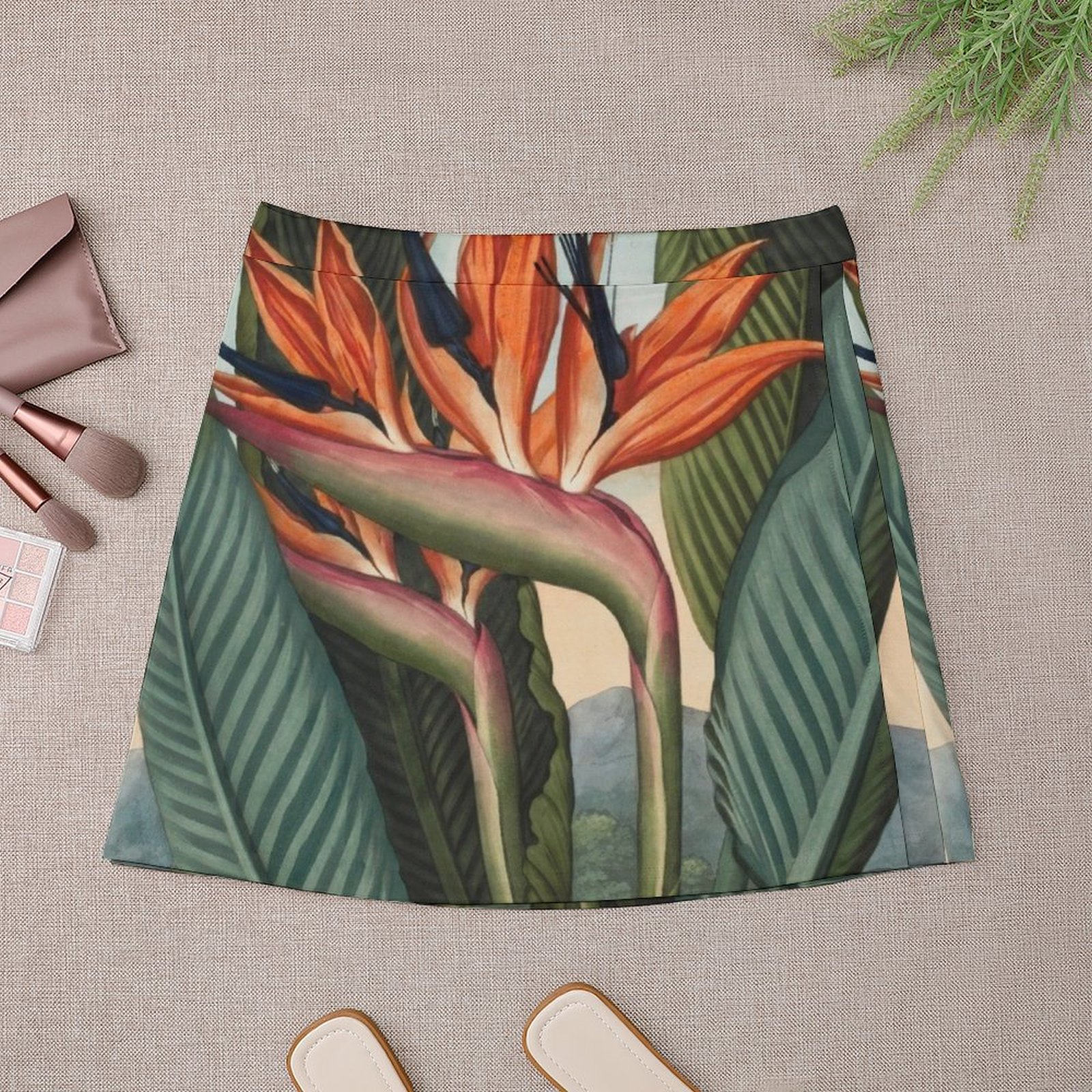 Botanical illustration: Bird o - Bird Paradise Strelitzia reseña y precio