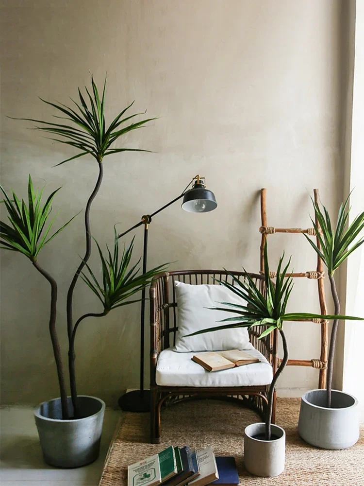 Simulation Plant Dracaena Marg - Dracaena Marginata reseña y precio