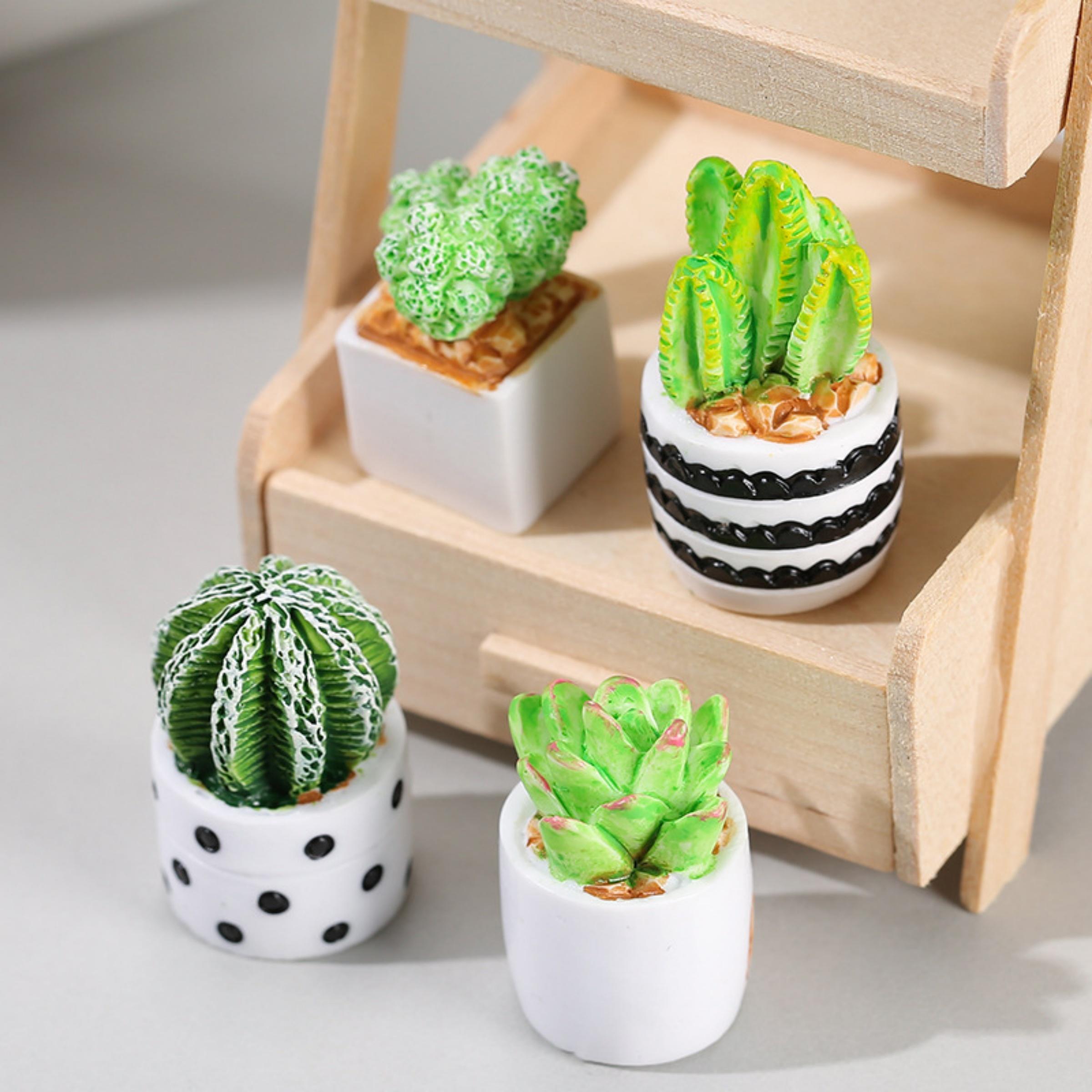 4-Piece Set of Cactus Succulen - Echeveria Succulent reseña y precio