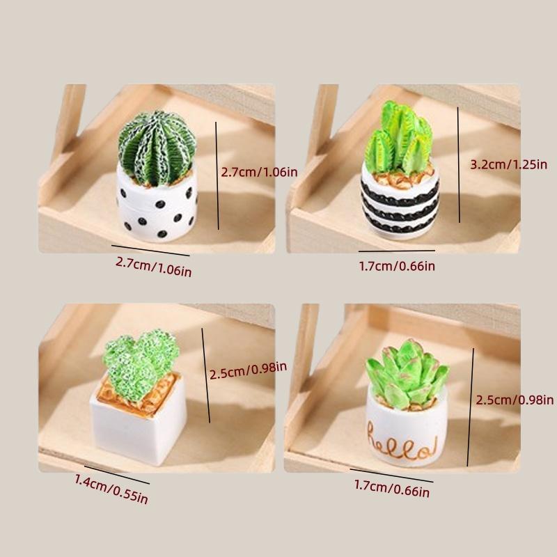 4-Piece Set of Cactus Succulen - Echeveria Succulent reseña y precio