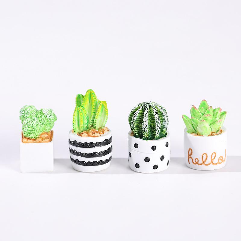 4-Piece Set of Cactus Succulen - Echeveria Succulent reseña y precio