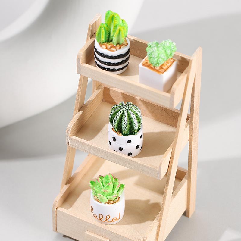 4-Piece Set of Cactus Succulen - Echeveria Succulent reseña y precio