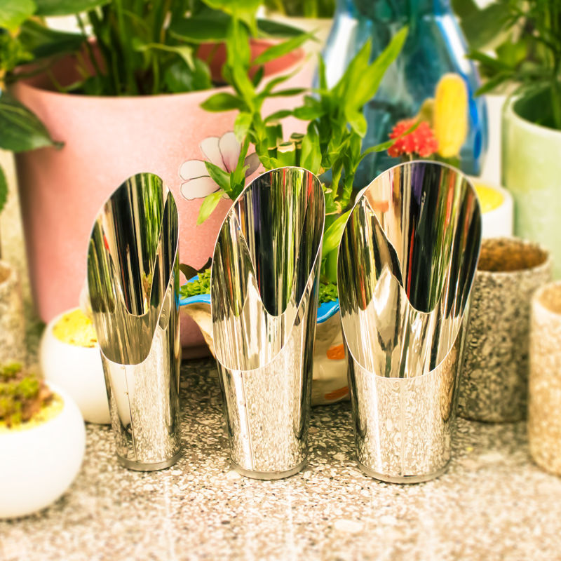 Stainless Steel Bucket Shovel  - Echeveria Succulent reseña y precio