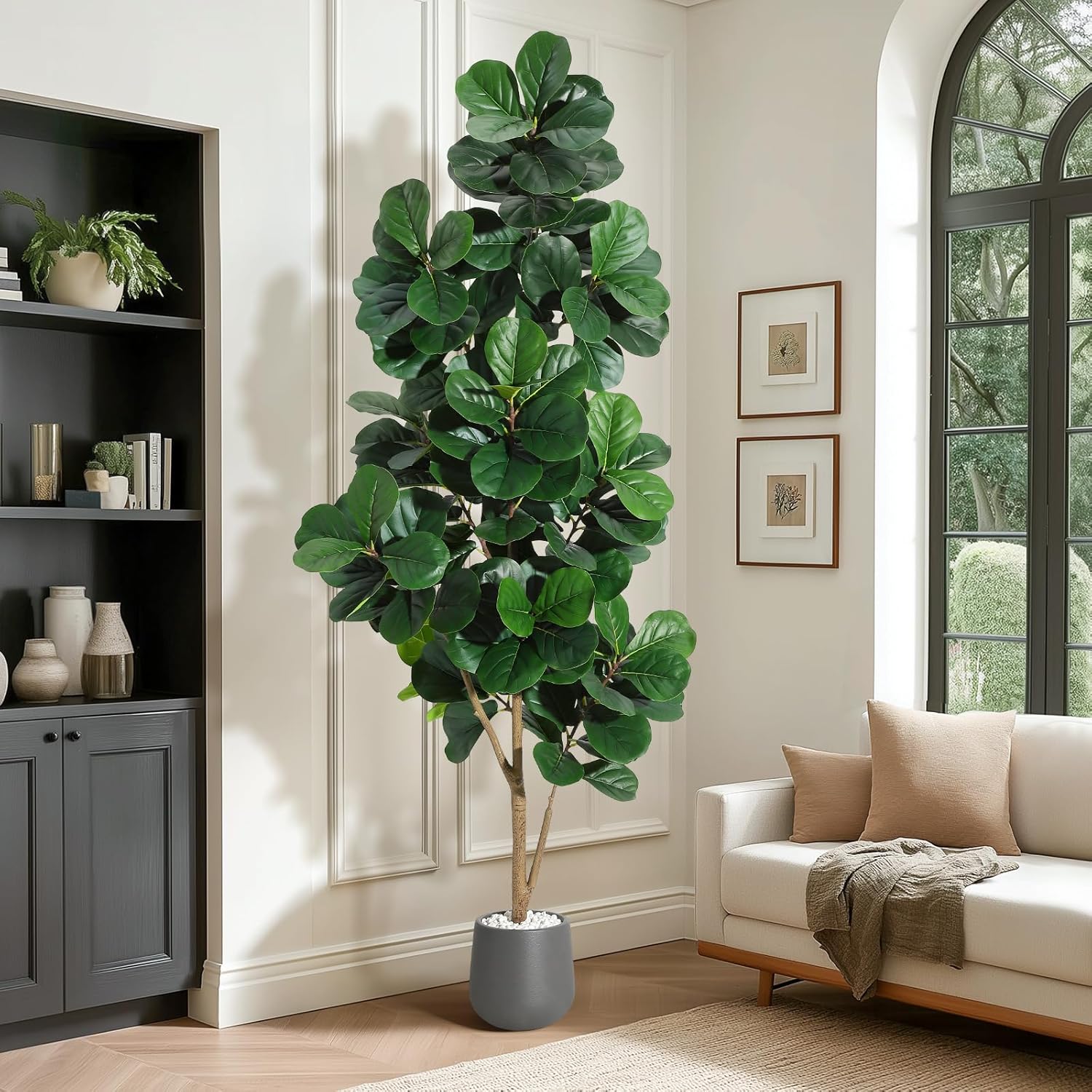 4FT/5FT/6FT/7FT Fiddle Leaf Fi - Ficus Lyrata Tree reseña y precio