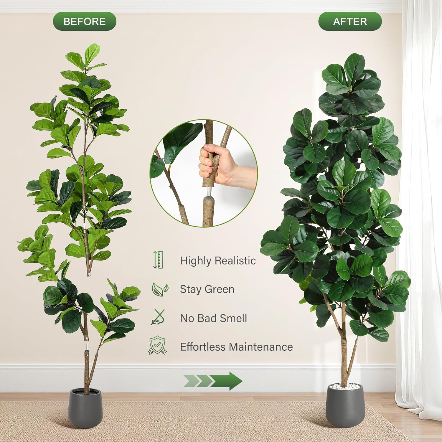 4FT/5FT/6FT/7FT Fiddle Leaf Fi - Ficus Lyrata Tree reseña y precio