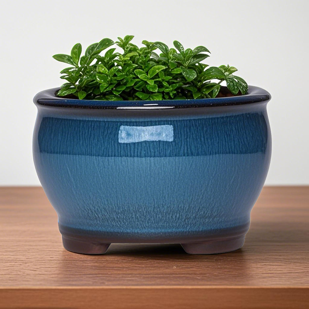 Ceramic Garden Planter Pots Ce - Aloe Vera Pot reseña y precio