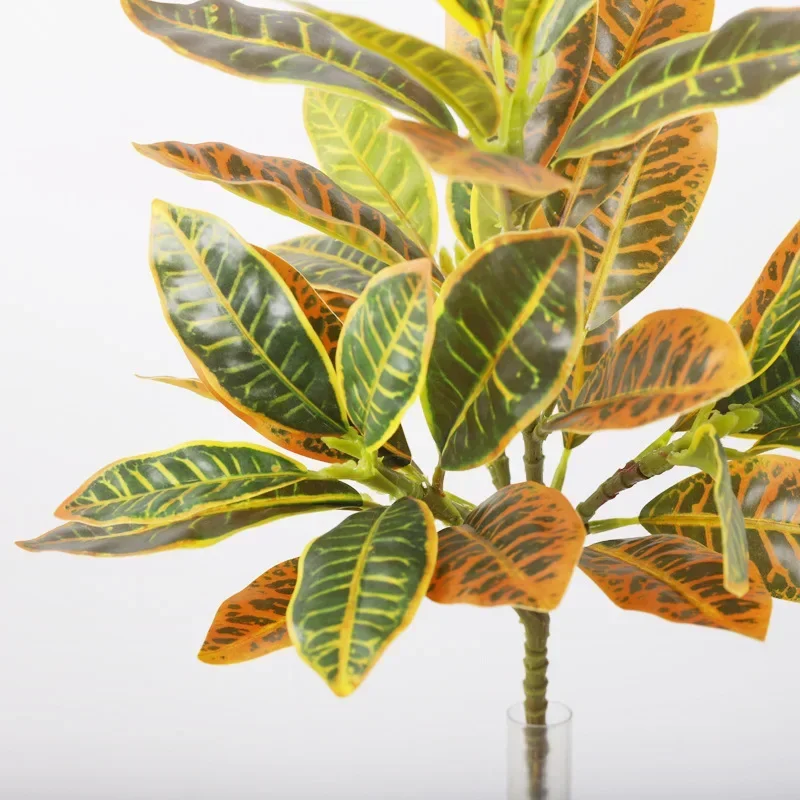 Plastic Artificial Color-chang - Dracaena Marginata reseña y precio